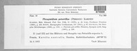 Phragmidium potentillae image